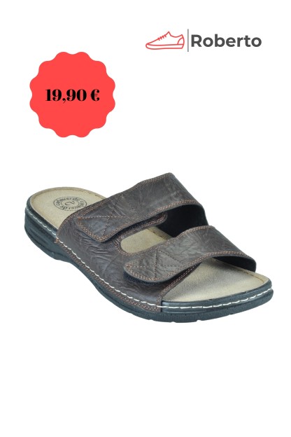 CARLA VERDE ANATOMIC