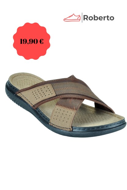 CARLA VERDE ANATOMIC